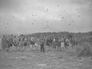 Birdwatchers at Ravenglass