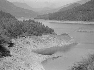 Rocky Shores of Thirlmere