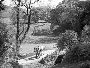 Man and Horse, Loweswater