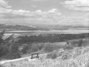 Viewpoint Arnside Knott