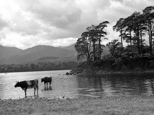 Pastoral, Keswick