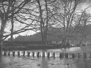 Stepping Stones at Rydal