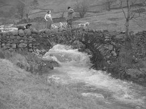 Hunt on Bridge