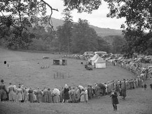 Sheep Trials