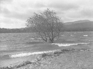 Waves on Windermere