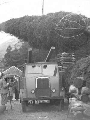 Loading Trees at Thirlmere