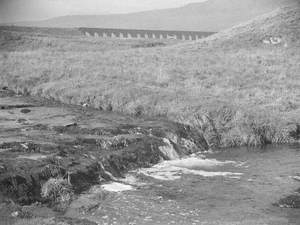 Stream and Viaduct at Ribbleheath