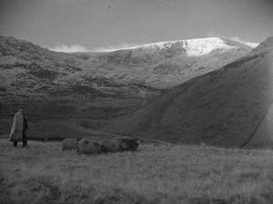 Sheep Farming in Mardale