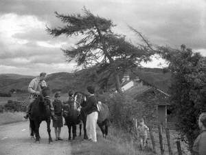 Family Pony Trekking