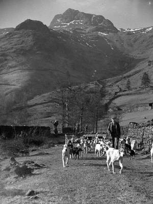 Eskdale and Ennerdale Hounds