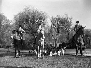 Vale of Lune Harriers