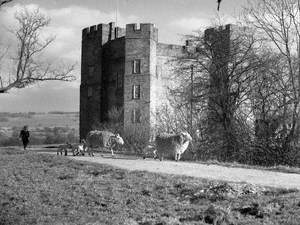 Dacre Castle