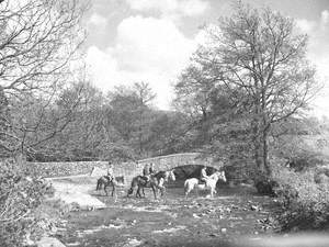 Pony Trekking through River Orton