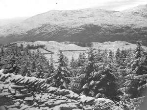 Snow at Tarn Hows