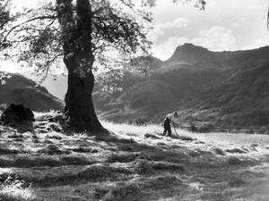 Cutting Hay at Langdale