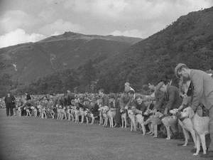 Hound Trail at Grasmere Sports