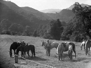 Horses and Riders, Loweswater