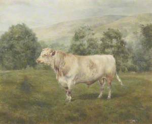 Bull ('Grand Duke', 1880)