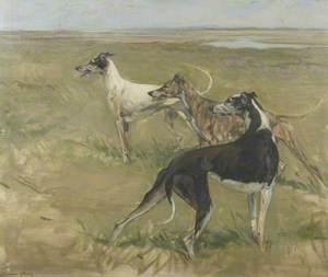 Three Greyhounds on an Estuary Marsh