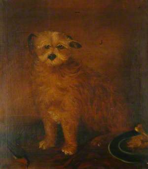 Wordsworth's Dog, Pepper