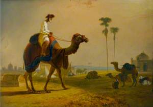 The Hirkarrah Camel (A Scene in the East Indies)