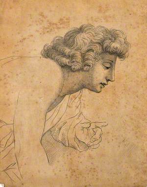 Profile of a Boy Which, According to Lavater, Exemplifies Raphael's Approach to Noses and Chins in Profile