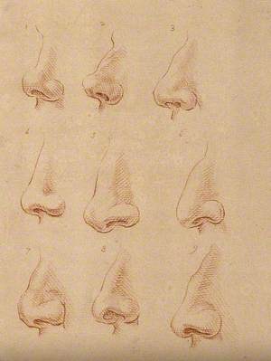 Nine Noses