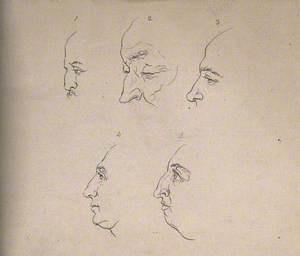 Five Profiles Exhibited for Their Noses