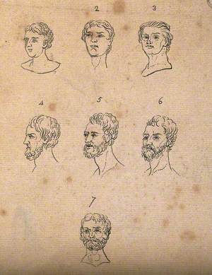 Seven Physiognomies