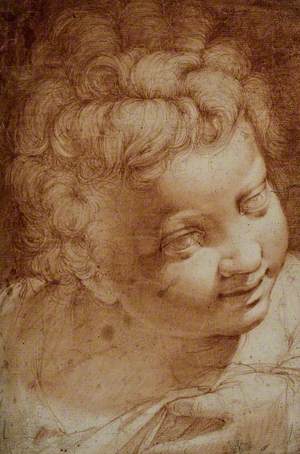 Head of a Young Boy