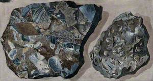Two Mineral Specimens Found in the Fossa Grande on Mount Vesuvius
