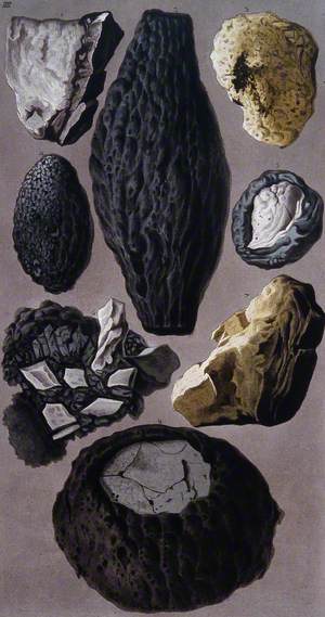 Pieces of Lava and Vitrified, Flinty Matter Found after the Eruption of Mount Vesuvius on 8 August 1779