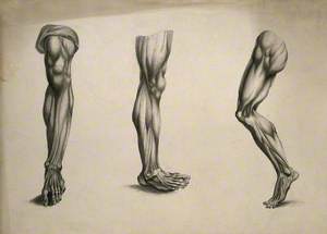 Écorché Legs: Three Figures