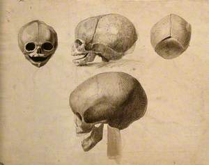 Skulls: Four Figures