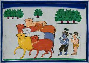 Lord Krishna as a Cowherd, Attending to the Cows