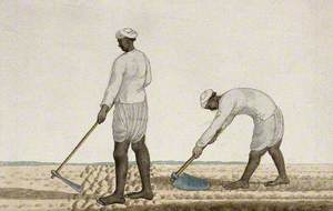 Two Men Digging the Earth with Spades