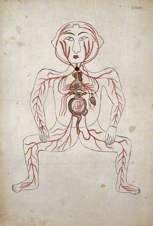 The Arteries of the Human Body with a Foetus in the Womb