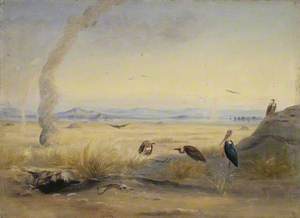 Barren Landscape with Vultures and Adjutant Bird beside a Carcass