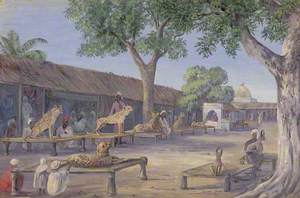 'Street of Hunting Cheetahs and Lynx. Ulwar. India 1878'