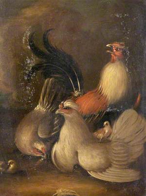 Poultry in a Yard