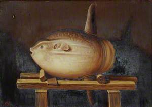 Species of Sun Fish, Caught off Jersey 4 September 1885