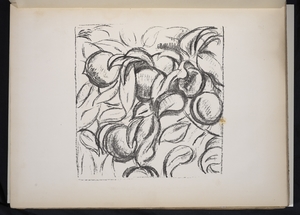 Fruit Tree