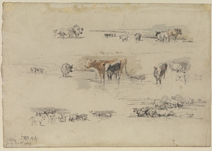 Studies of Cows in Landscape Settings