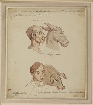 Caricature of Two Human Faces, Related to a Donkey and a Pig
