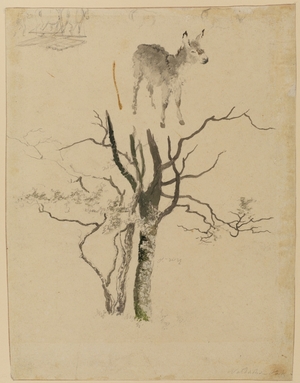 Studies of a Donkey and a Group of Trees