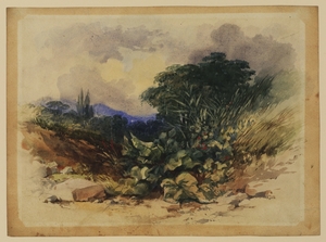 Landscape with Plants and Grasses in the Foreground