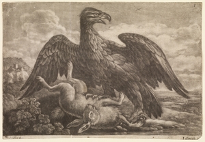An Eagle and a Hare
