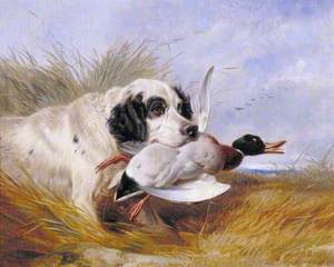 Dog with a Wild Duck