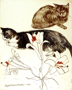 Cats and Lilies
