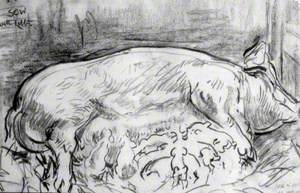 Sow with Litter